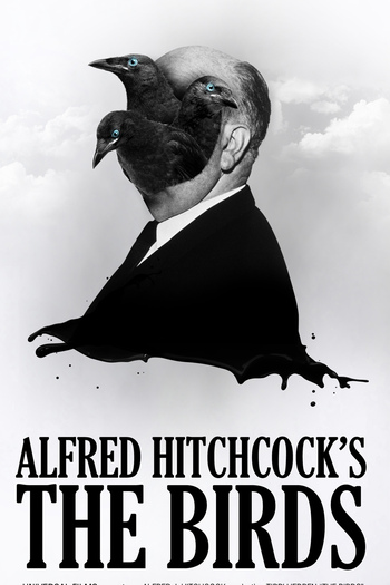 Poster de Filme Os Pássaros (2024)