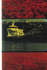 Les coquelicots (Les coquelicots)