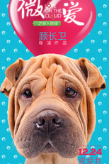 Amor Online (Wei Ai Zhi Jian Ru Jia Jing)