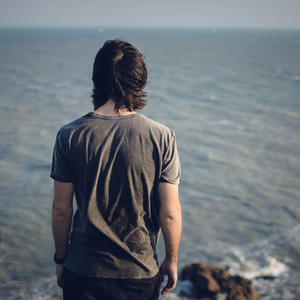 Foto de perfil de William Zanella