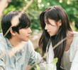 8회