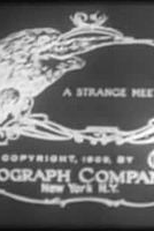 A Strange Meeting (A Strange Meeting)