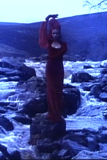 Poster de Curta And Still I Rise (1993)