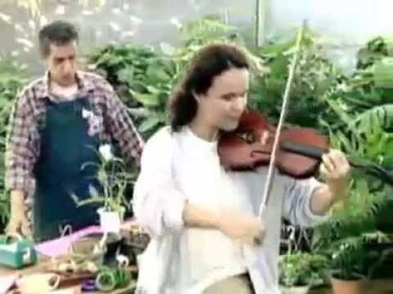 Foto 3 de O Bochecha