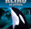 Keiko en peligro