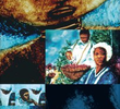 Alma Negra
