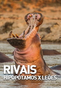 Rivais: Hipopótamos x Leões (Rivais: Hipopótamos x Leões)