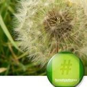 Foto de perfil de Dahlia Dwek