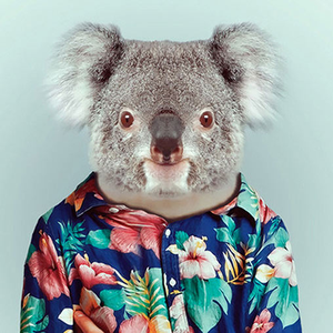 Foto de perfil de Tropicoala