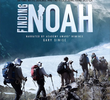 Finding Noah
