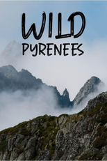 WILD PYRENEES (Wilde Pyrenäen)