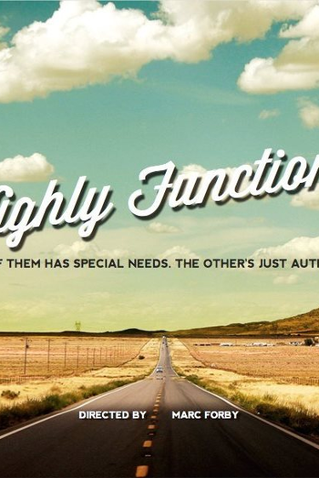 Poster de Filme Highly Functional (2017)