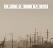 The Curve of Forgotten Things