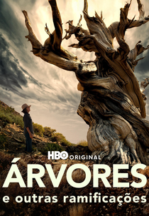 Árvores e Outras Ramificações (Trees, and Other Entanglements)