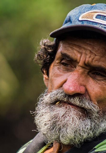 Seu José (Seu José)