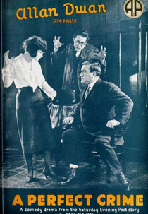 A Perfect Crime (A Perfect Crime)