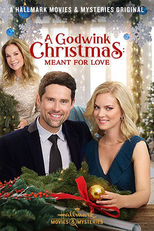 A Godwink Christmas: Meant for Love (A Godwink Christmas: Meant for Love)
