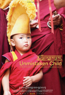 O Menino Certo (Unmistaken Child)