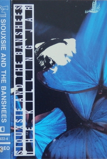 Siouxsie and the Banshees: The Killing Jar - Poster / Capa / Cartaz - Oficial 1