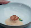 Scallop