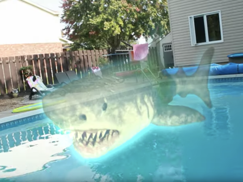 Foto 2 de Ouija Shark