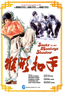 Snake in the Monkey's Shadow - Poster / Capa / Cartaz - Oficial 1