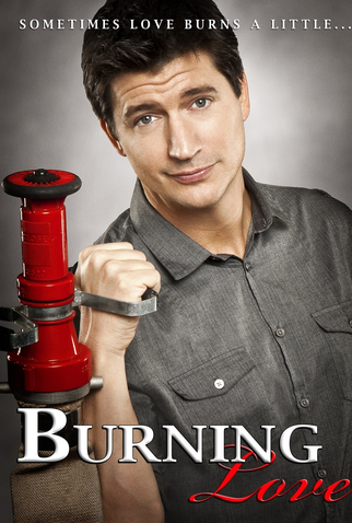 Poster 1 de Filme Burning Love - O Filme (2012)