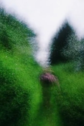 Poster de Curta Brouillard #16 (2014)