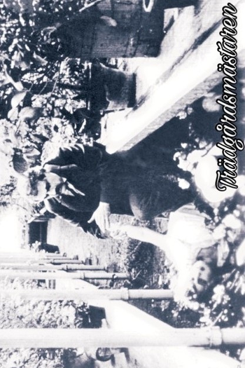  de Curta O Jardineiro (1912)