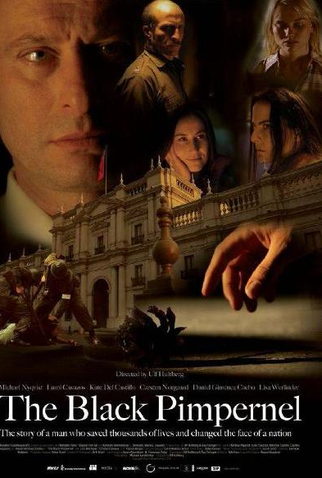 Poster 1 de Filme O Cavaleiro Negro (2007)