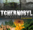 Tchernobyl: une histoire naturelle?
