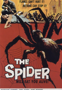 A Maldição da Aranha (Earth vs The Spider)