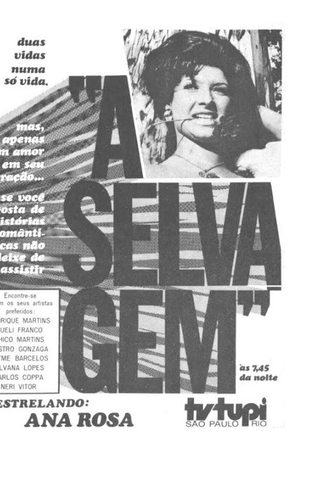 Poster 4 de TV A Selvagem (1971)