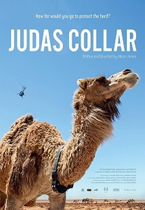 Judas Collar (Judas Collar)