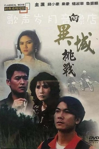 Poster de Filme Challenge to Devil Area (1991)