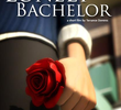 The Lonely Bachelor