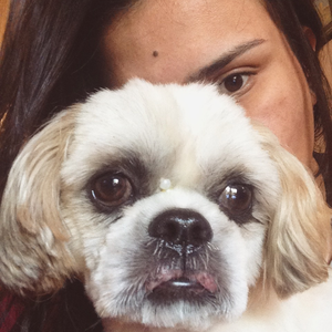 Foto de perfil de Andressa Pires