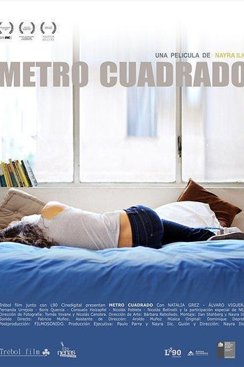 Poster de Filme Metro quadrado (2010)