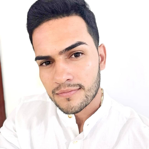 Foto de perfil de Luis Amaro