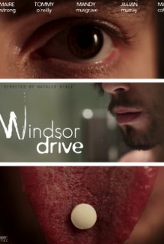 Poster 1 de Filme Windsor Drive (2013)