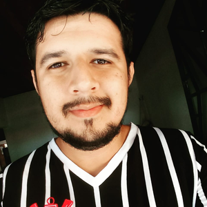 Foto de perfil de Hugo Sales