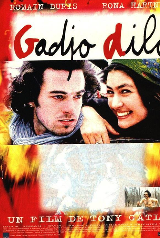 Poster 3 de Filme O Estrangeiro Louco (1997)