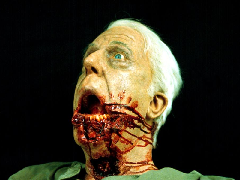 Foto 32 de Cemitério Maldito