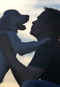 Se eu pudesse falar (If i could talk)