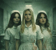 Body of Nurses