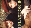 The Flaxton Boys (1ª Temporada)