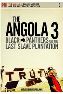Angola 3: Black Panthers and the Last Slave Plantation - Poster / Capa / Cartaz - Oficial 1