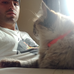 Foto de perfil de Gabriel Müller