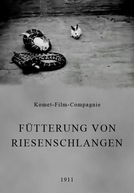 Fütterung von Riesenschlangen