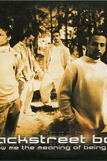 Backstreet Boys: Show Me the Meaning of Being Lonely (Backstreet Boys: Show Me the Meaning of Being Lonely)